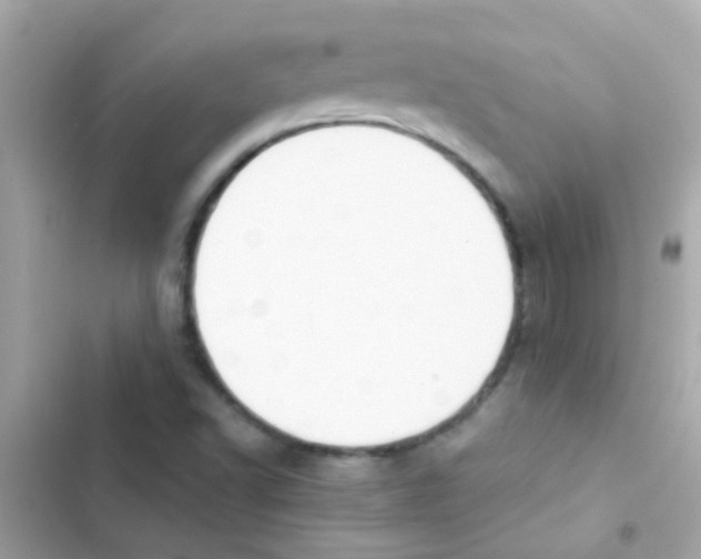 X0000103151502200809192016