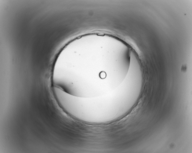 X0000103151504200809192016