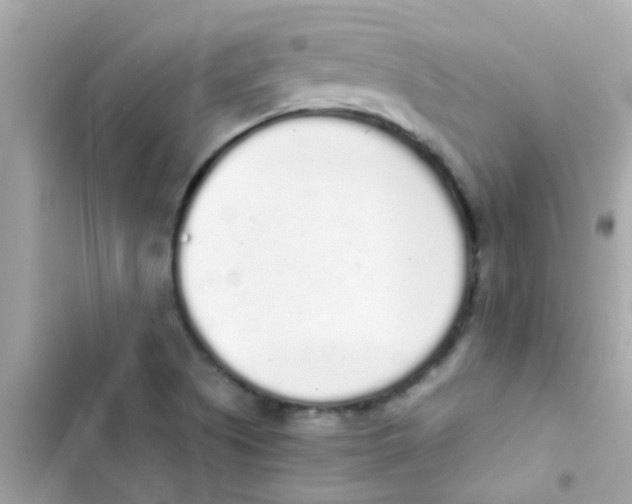 X0000103151505200809192016