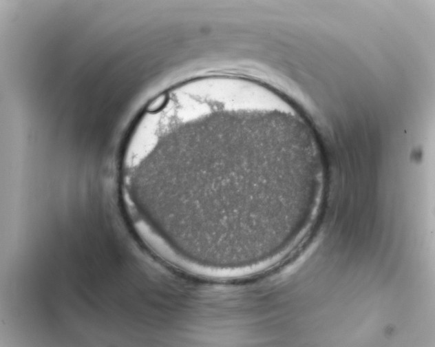 X0000103151506200809192016