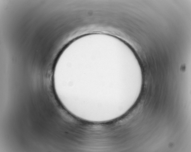 X0000103151507200809192016