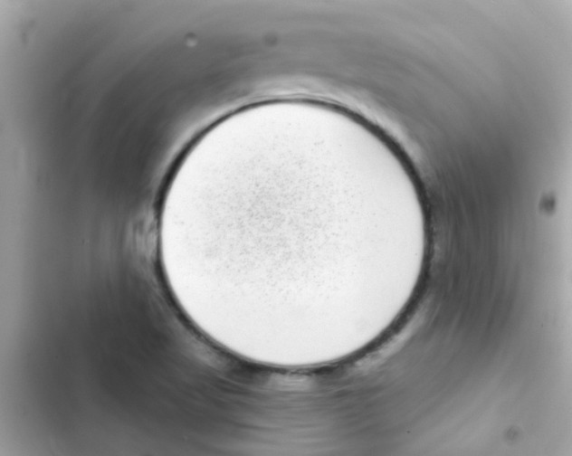 X0000103151509200809192016