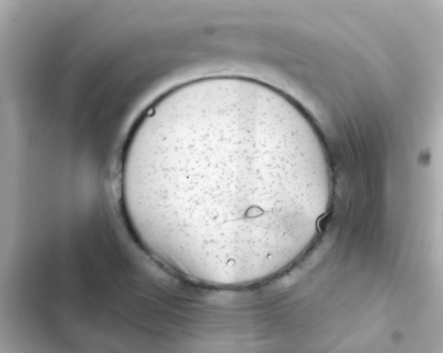 X0000103151510200809192016