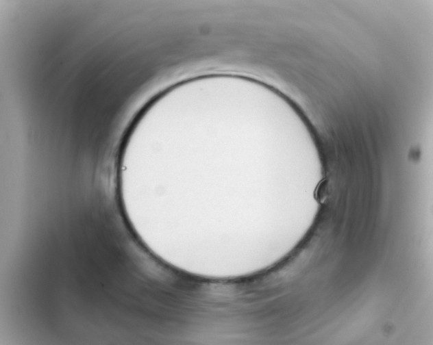 X0000103151511200809192016