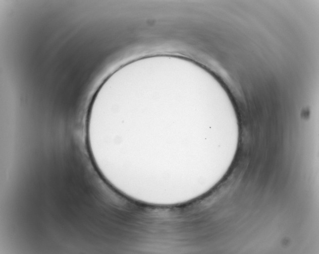 X0000103151512200809192016