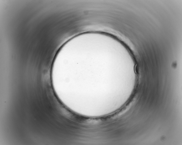 X0000103151513200809192016