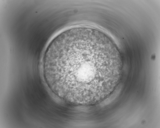 X0000103151514200809192016