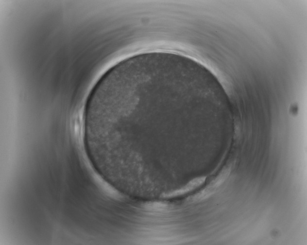 X0000103151515200809192017