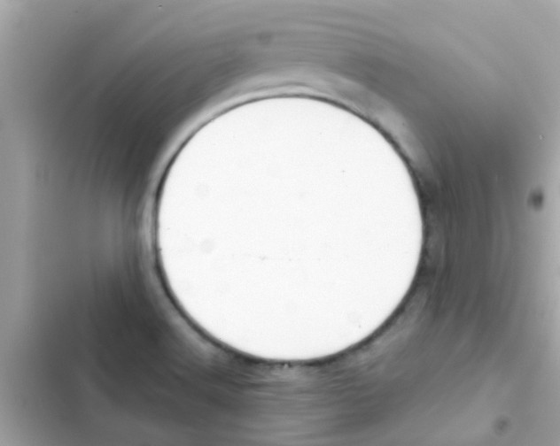 X0000103151516200809192017