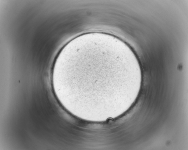 X0000103151517200809192017