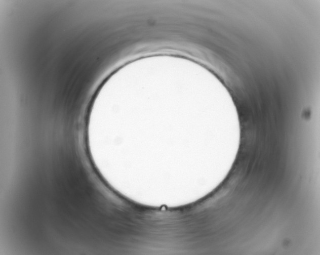 X0000103151518200809192017