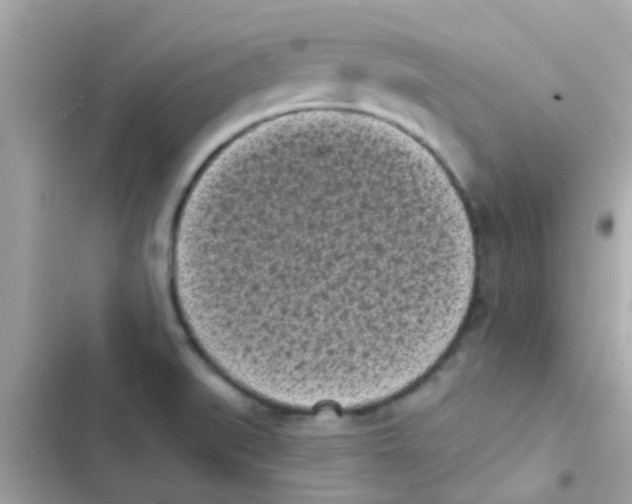 X0000103151519200809192017