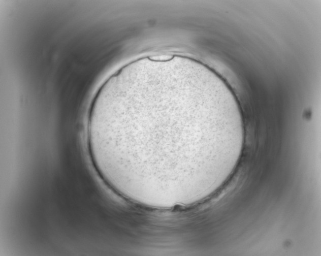 X0000103151520200809192017