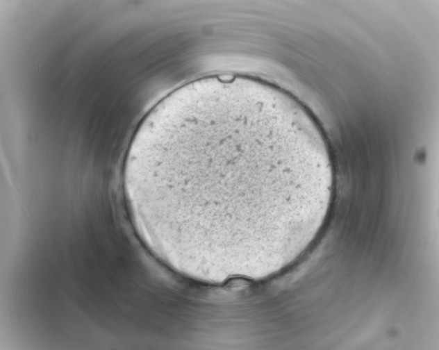 X0000103151521200809192017