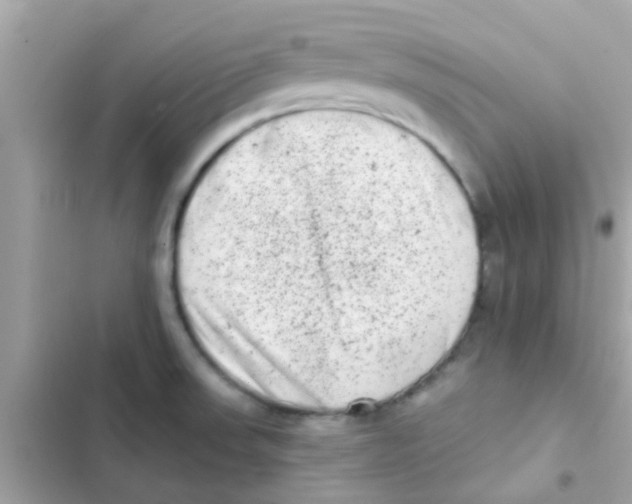 X0000103151523200809192017