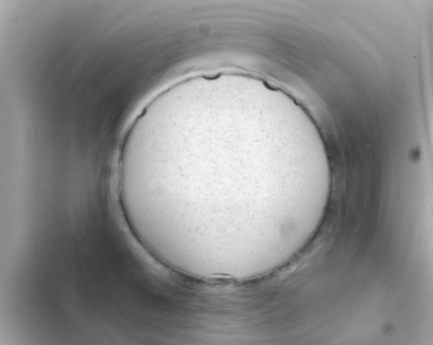 X0000103151524200809192017