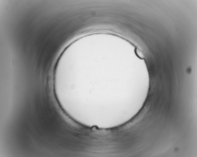 X0000103151526200809192017