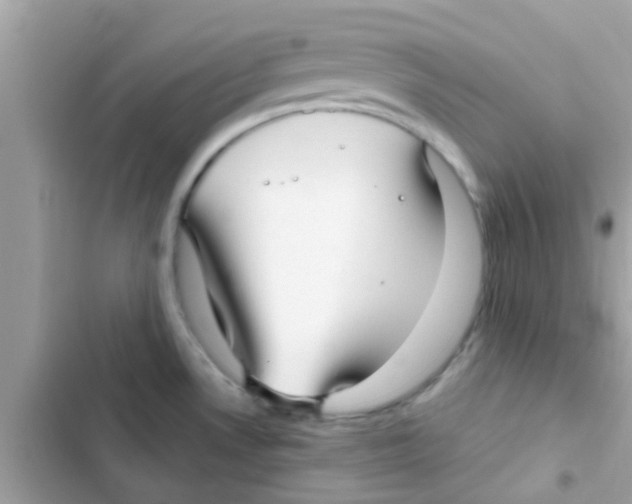 X0000103151530200809192017