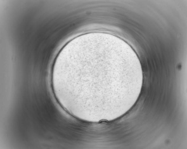 X0000103151531200809192017