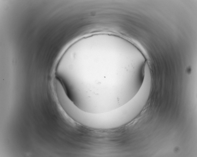 X0000103151532200809192017