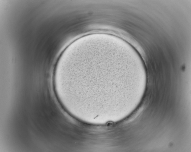 X0000103151533200809192017