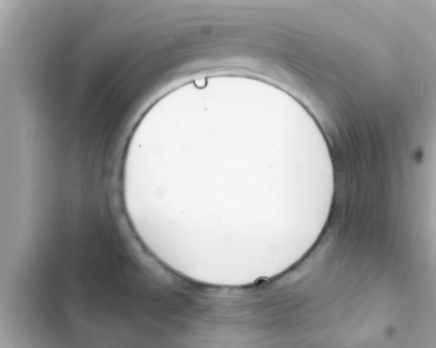 X0000103151534200809192017