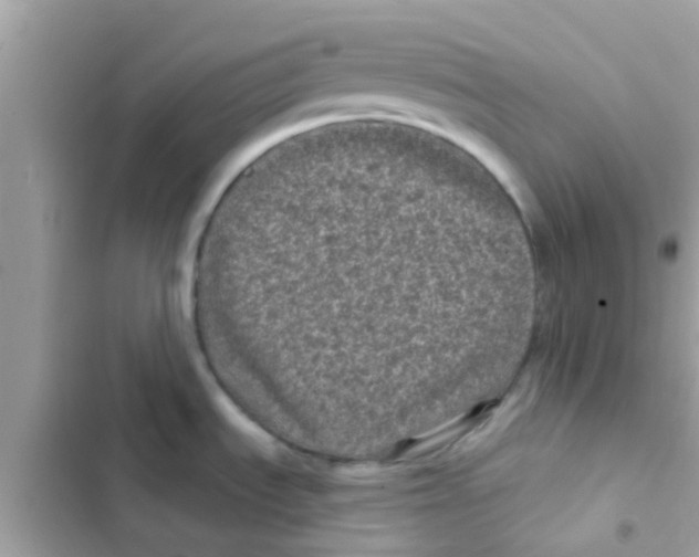 X0000103151535200809192017