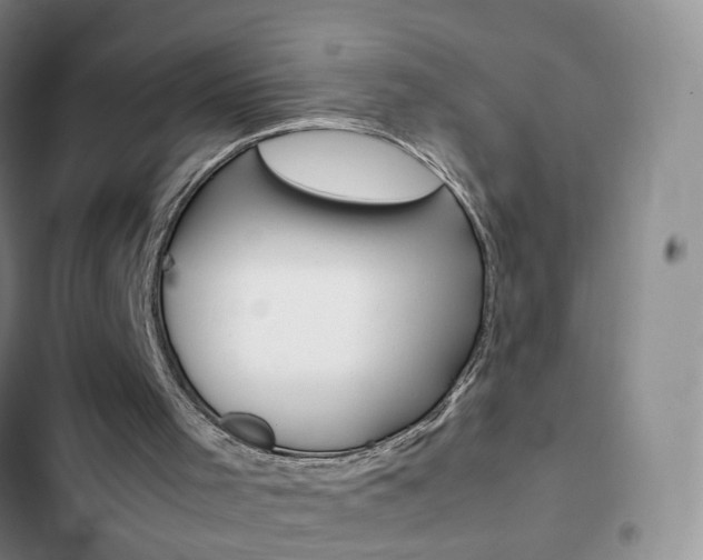 X0000103160001200808221203