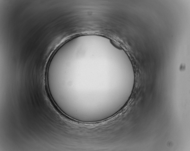 X0000103160002200808221203