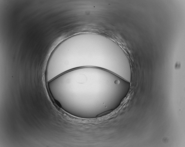 X0000103160003200808221203