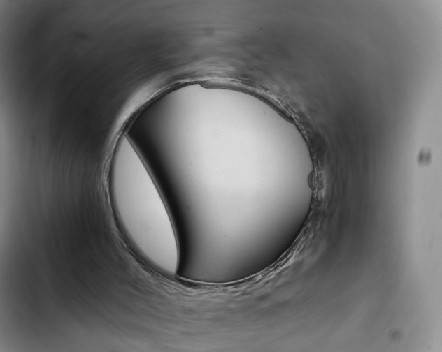 X0000103160004200808221203