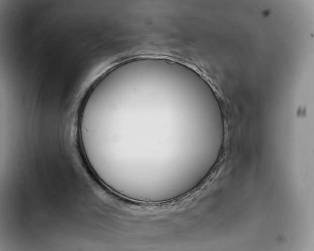 X0000103160005200808221203