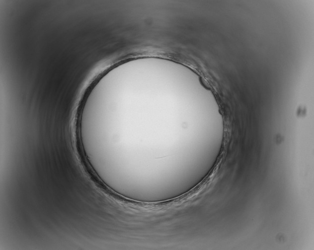 X0000103160006200808221203