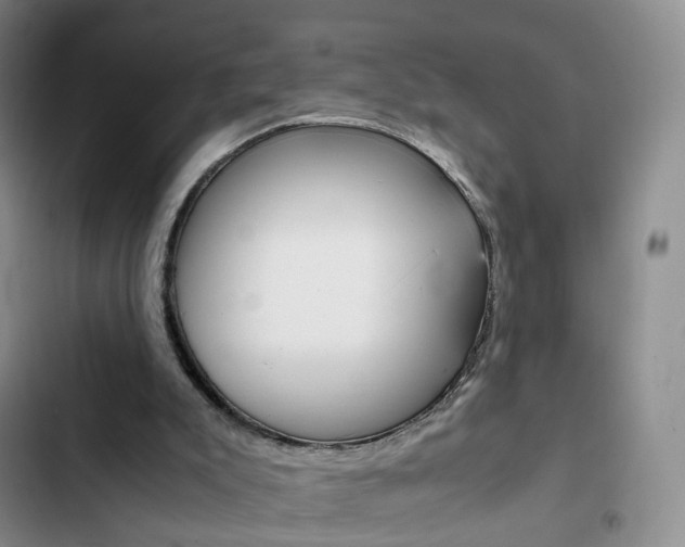 X0000103160007200808221203