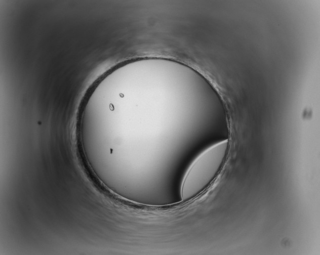 X0000103160008200808221203