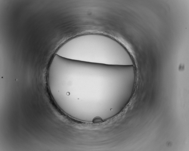 X0000103160009200808221203