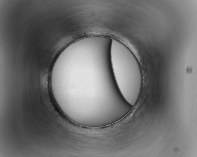 X0000103160010200808221203