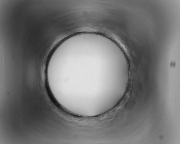 X0000103160011200808221203