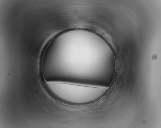 X0000103160012200808221203