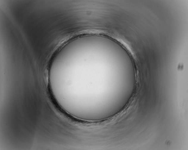 X0000103160013200808221203