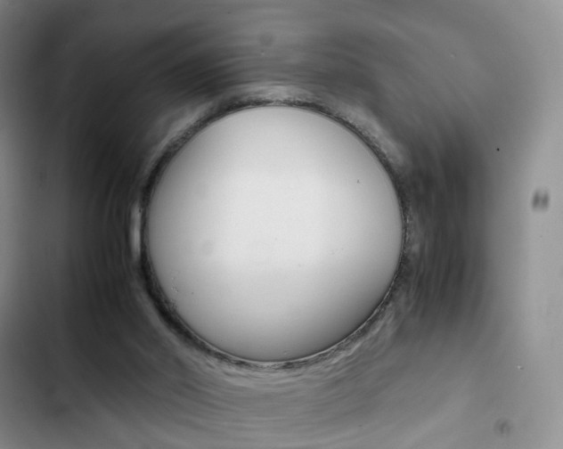 X0000103160014200808221203