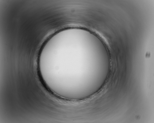 X0000103160015200808221203