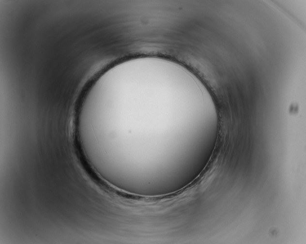 X0000103160016200808221203
