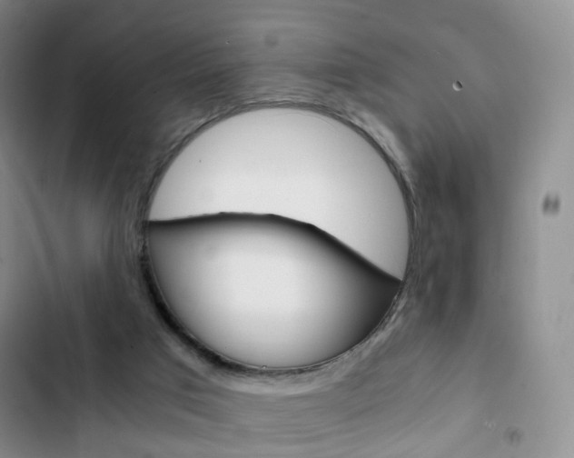 X0000103160017200808221203