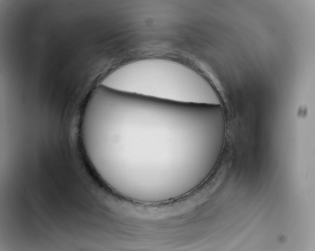 X0000103160018200808221203