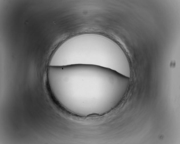 X0000103160019200808221203