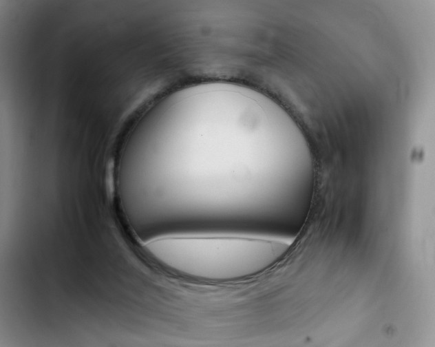 X0000103160020200808221203
