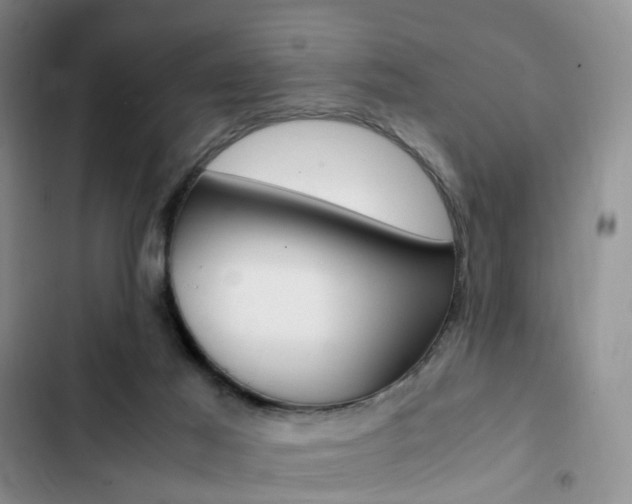 X0000103160021200808221203