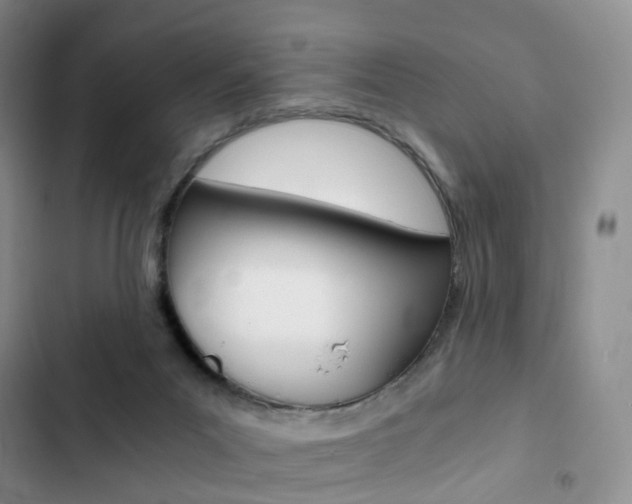X0000103160023200808221203