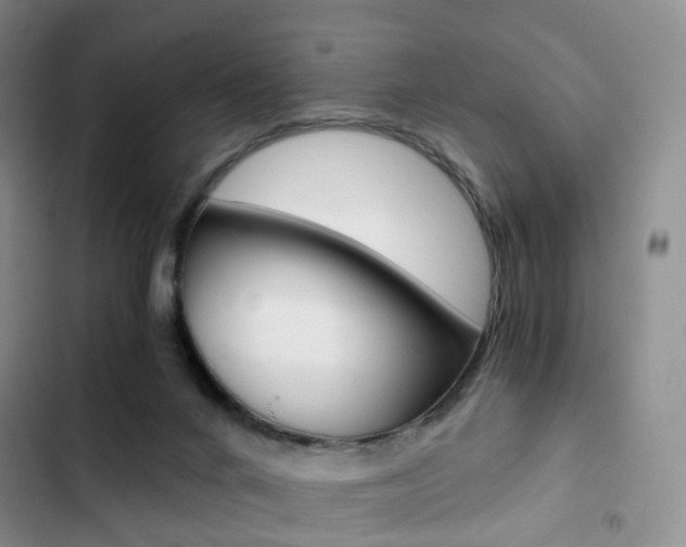 X0000103160024200808221203